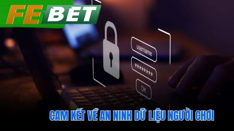 Chính sách bảo mật xây dựng cam kết an ninh dữ liệu vững chắc